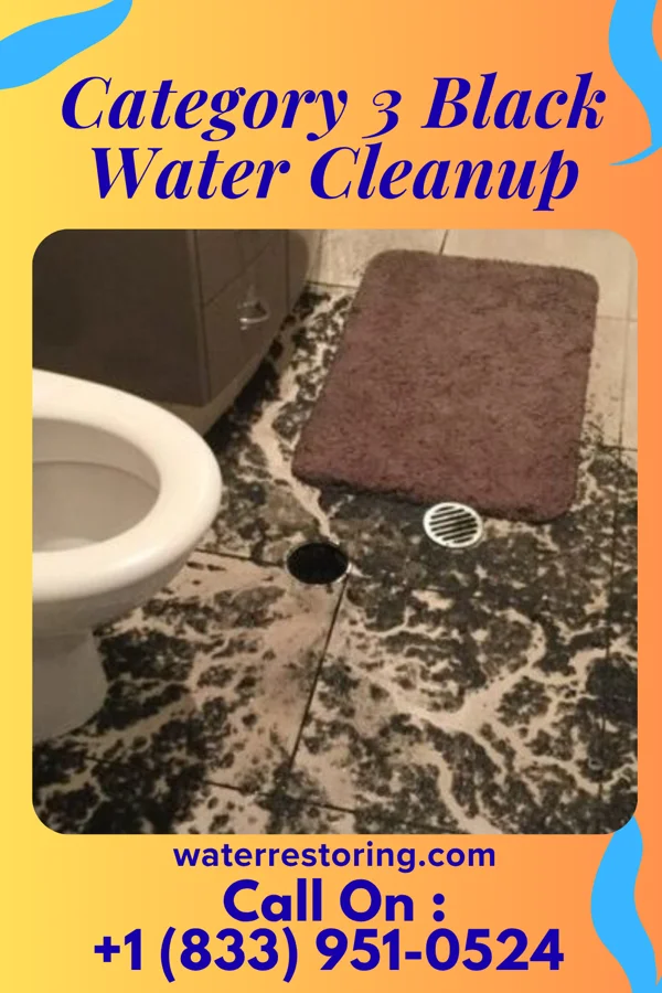 Category 3 Black Water Cleanup in Varnville, SC