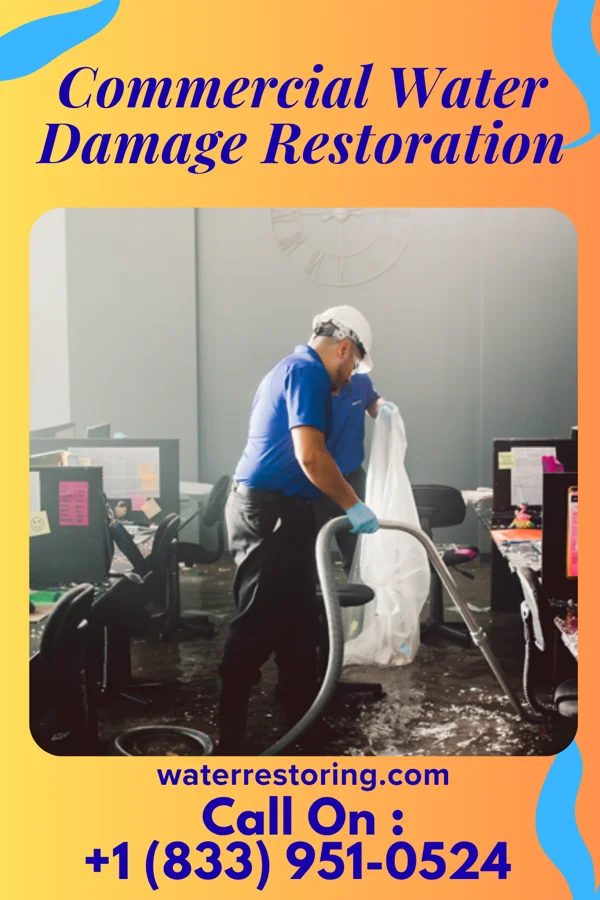 Commercial Water Damage Restoration in Varnville, SC