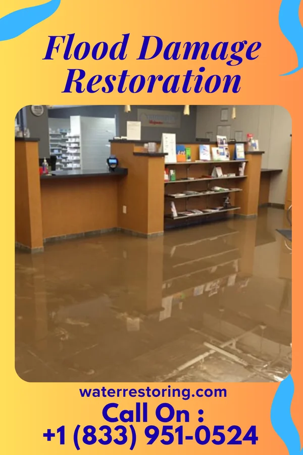 Flood Damage Restoration in Varnville, SC