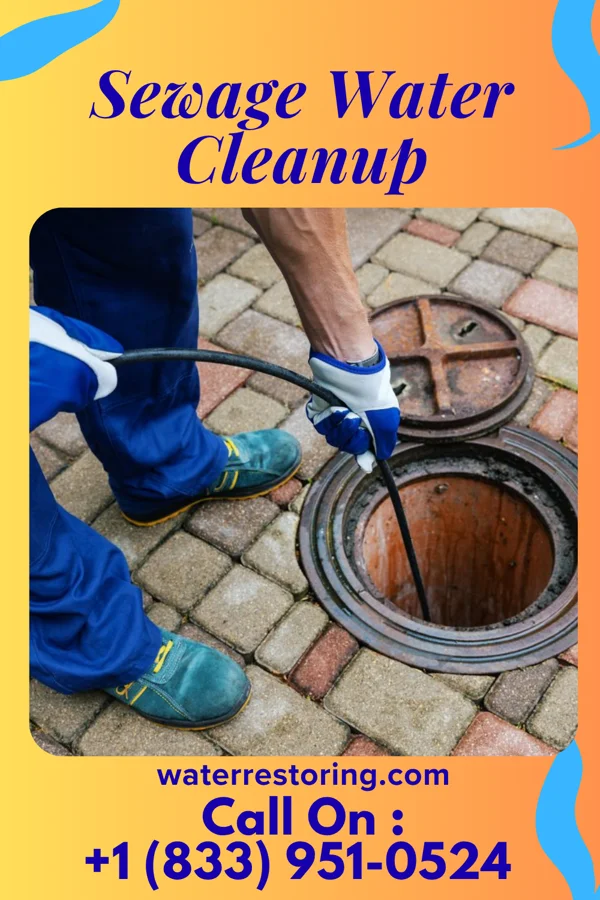 Sewage Water Cleanup in Varnville, SC