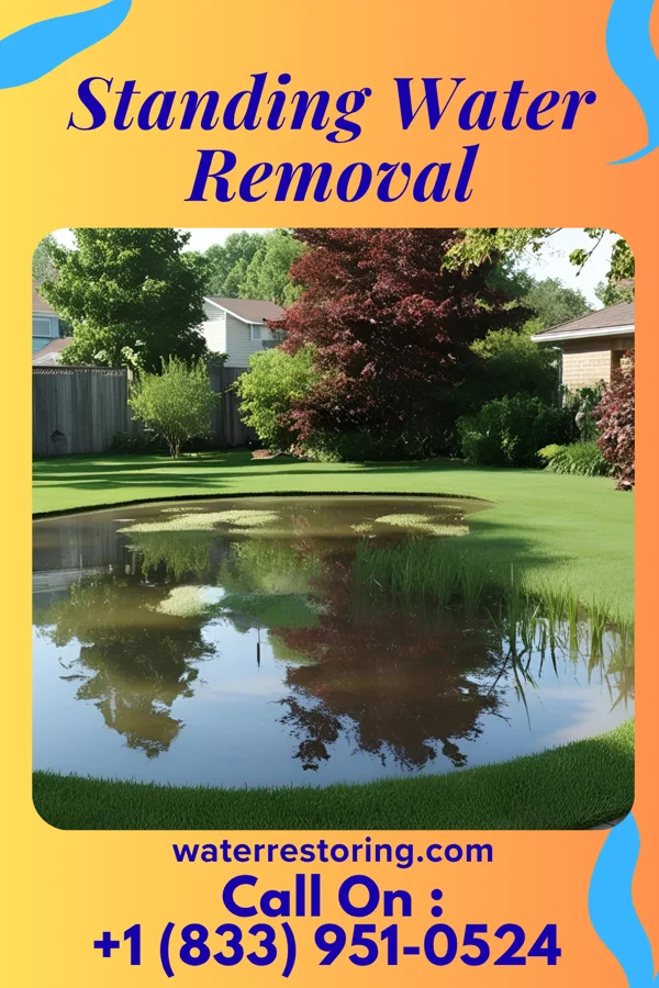 Standing Water Removal in Varnville, SC